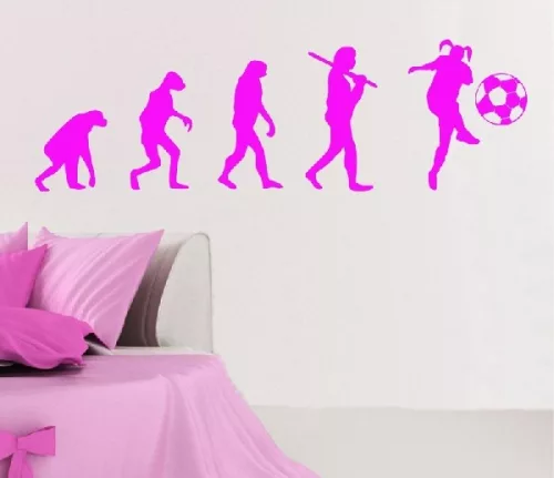 Evolution Focis csaj falmatrica