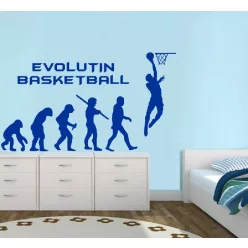 Evolution Basketball falmatrica