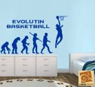 Evolution Basketball falmatrica