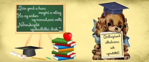 Egyedi bögre Ballagásra, Évzáróra 10