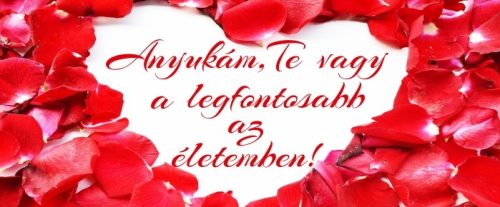 Egyedi bögre Anyáknapjára 4