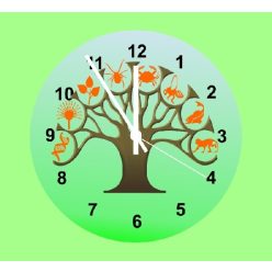 Fényképes biólogiás óra Ballagásra, Évzáróra