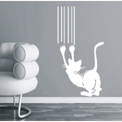 Karmolós macsek falmatrica 3