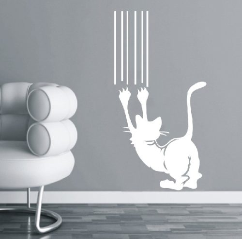 Karmolós macsek falmatrica 3