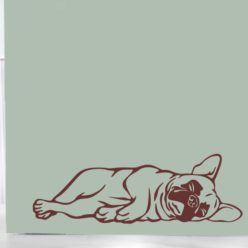 Francia Bulldog falmatrica 4