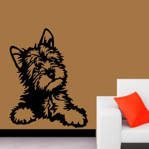 Yorkshire terrier falmatrica 2
