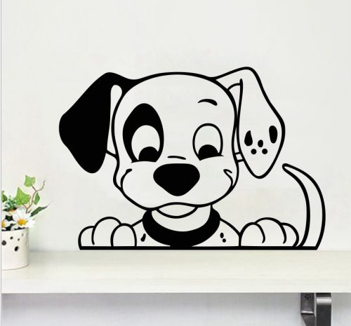 Dalmata falmatrica 2