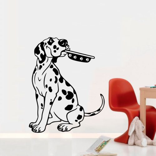 Dalmata falmatrica 4