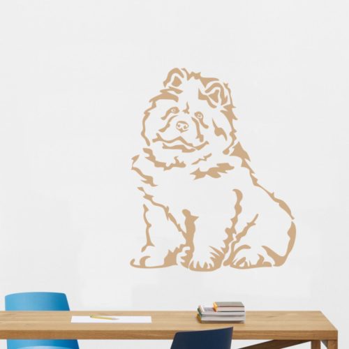 Chau-Chau falmatrica 1