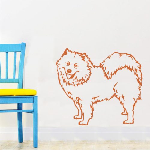 Chau-Chau falmatrica 2