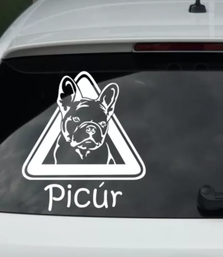 1. Francia bulldog autósmatrica