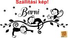 Kis Majmok falmatrica 