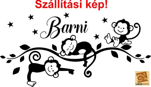 Kis Majmok falmatrica 