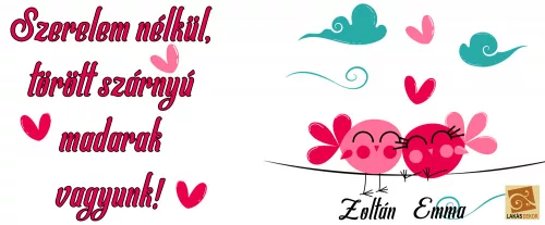 Szerelem nélkül, törött szárnyú madarak vagyunk egyedi bögre