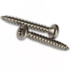 Rozsdamentes facsavar 3x12 mm (2db-os)