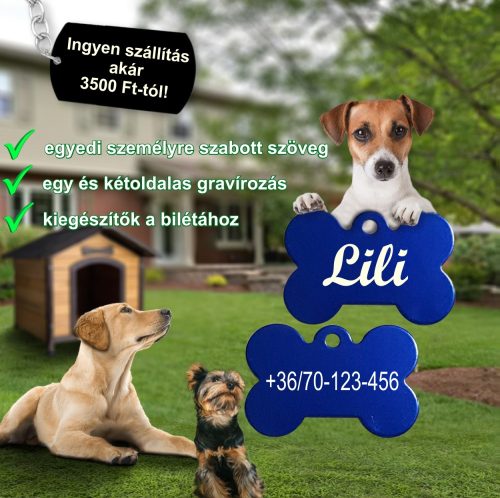 2. Csont alakú biléta, kutyabiléta, (1 oldal: név, 2 oldal: telefonszám)