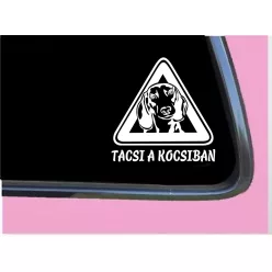 Tacsi a kocsiban autósmatrica