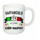 Vaffanculo