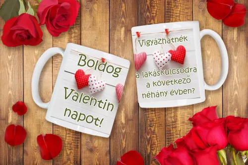 Vigyázhatnék a lakáskulcsodra.. Valentin-napi bögre