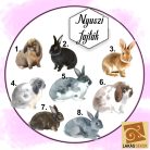  Ő nem csak egy nyuszi...egyedi bögre