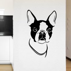 Boston terrier fej falmatrica
