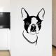 Boston terrier fej falmatrica