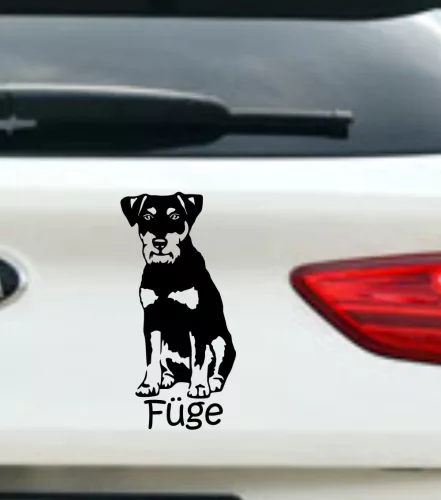 Jagd terrier autósmatrica