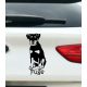 Jagd terrier autósmatrica