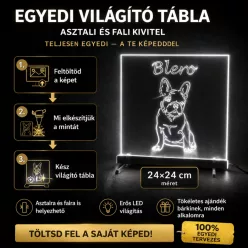   Egyedi LED Világító Tábla Saját Képből – Személyre Szabható Dekoráció