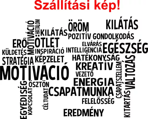 Motivációs idézet falmatrica