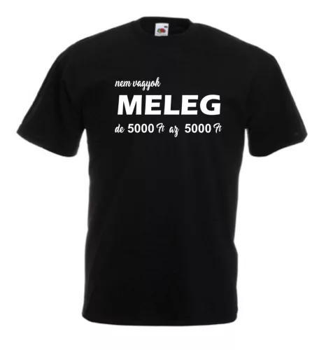 Nem vagyok meleg, de 5000Ft az 5000Ft férfi póló