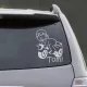 Vagány motoros – Motoros kisfiú autómatrica 