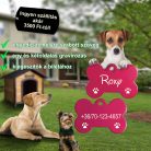 3. Csont alakú biléta, kutyabiléta tappancsos, 1 oldal: név, 2 oldal: telefonszám 