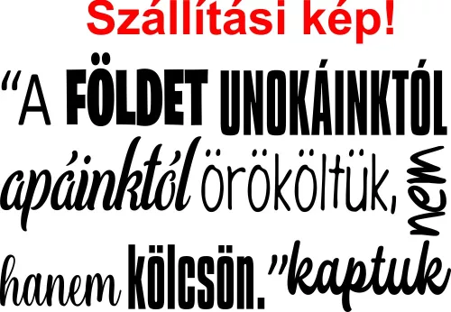A Földet nem apáinktól örököltük… – Inspiráló idézet falmatrica