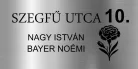  Gravírozott ajtó-postaláda tábla (SZEGFŰ MOTÍVUMMAL) - UV álló műanyagból