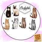 Ő nem csak egy cicus...egyedi bögre