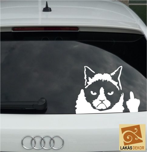 Autómatrica,Falmatrica Macskás 2