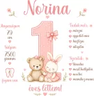 1 éves lettem lányos szülinapi body személyre szabható adatokkal