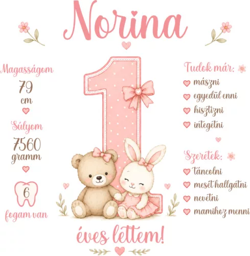 1 éves lettem lányos szülinapi body személyre szabható adatokkal