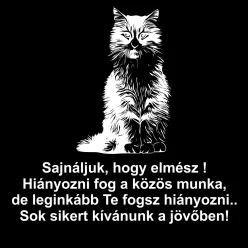 Cicás egyedi ledtábla