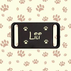   7. Nyakörvre tehető biléta (Csak név vagy telefonszám és tappancs!)