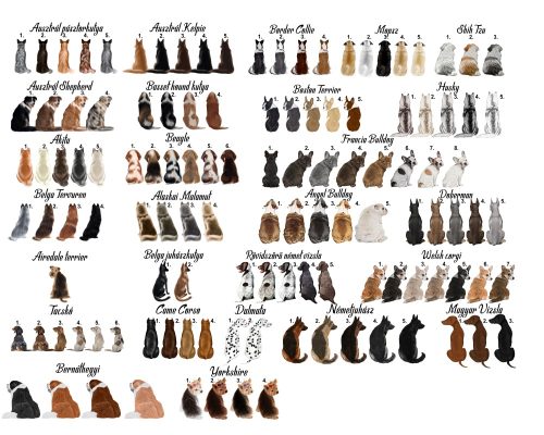 My Friends Kiskedvenc kutyám egyedi bögre