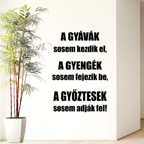 A GYÁVÁK sosem kezdik el..falmatrica Idézet