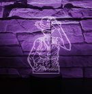 One Piece 7 színű 3D LED lámpa