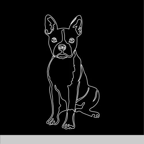 Boston Terrier ledtábla