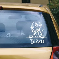 Vizsla autósmatrica (1.változat)