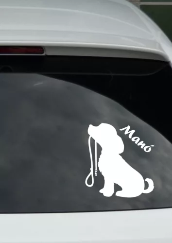 Kutyus pórázzal autósmatrica