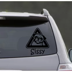 Mops autósmatrica
