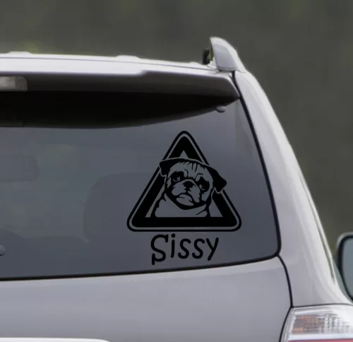 Mops autósmatrica