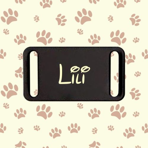 Nyakörvre tehető biléta (Név vagy telefonszám)